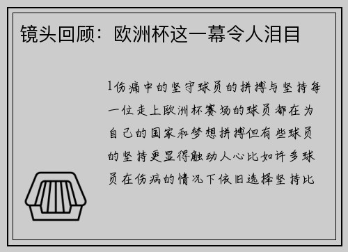 镜头回顾：欧洲杯这一幕令人泪目