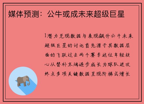 媒体预测：公牛或成未来超级巨星